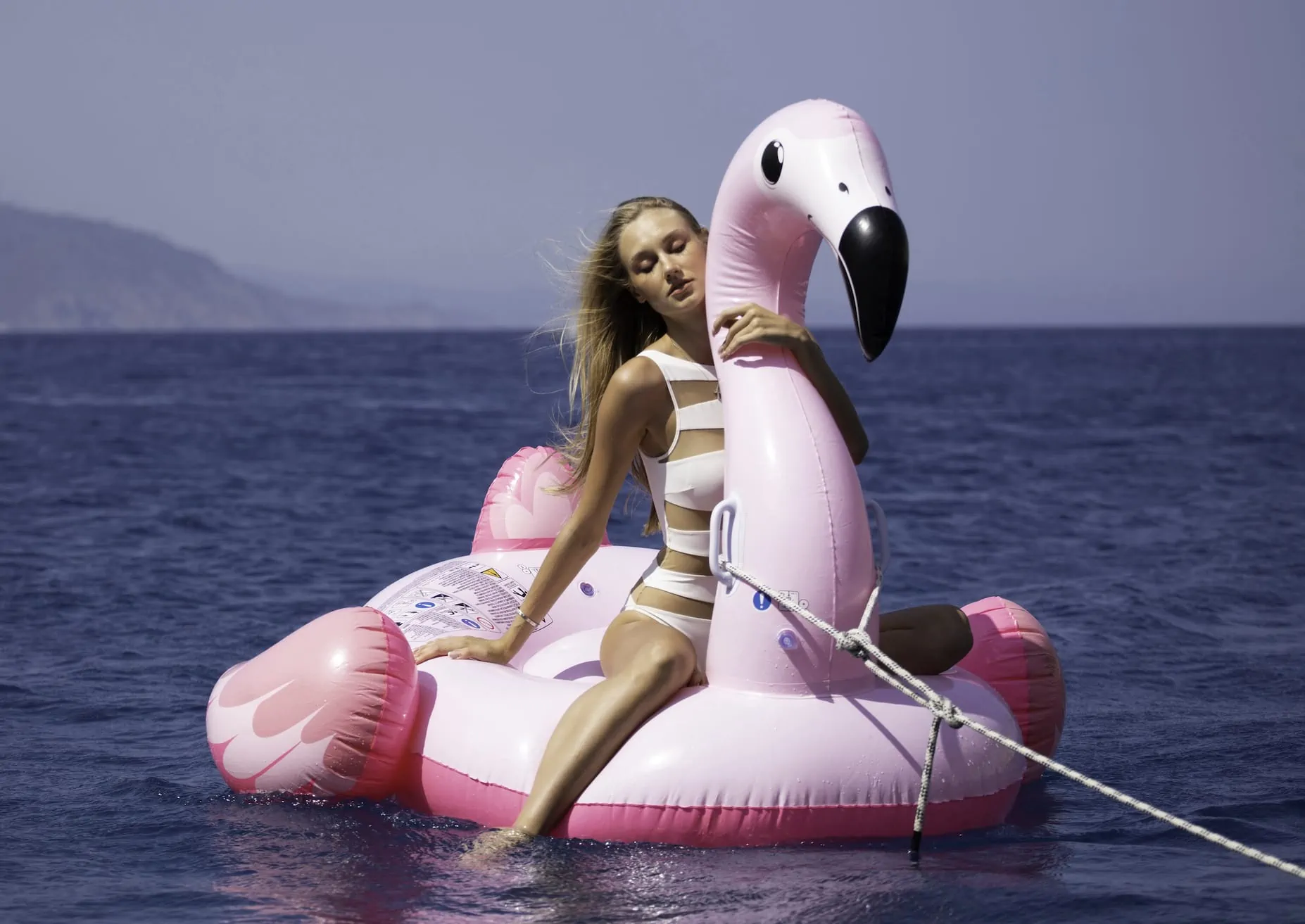 Flamingo Ride