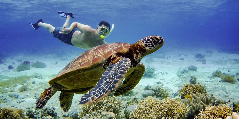 Snorkeling